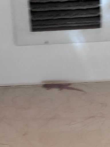 문라이트 마사지 이용자 후기 사진 22