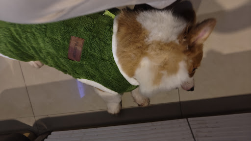 문 마사지 이용자 후기 사진 9
