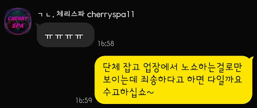 체리 스파 이용자 후기 사진 10